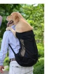 Bagage Soldes -Bagage Soldes 0 5bd559