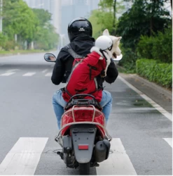 Sac De Voyage Pour Chien Type Sac à Dos -Bagage Soldes Screenshot 11 2