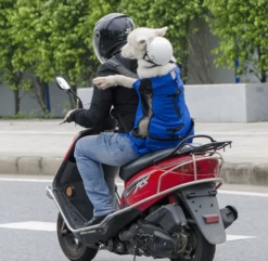 Sac De Voyage Pour Chien Type Sac à Dos -Bagage Soldes Screenshot 12 1